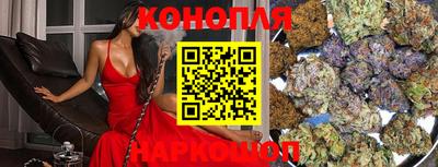 a pvp Кингисепп