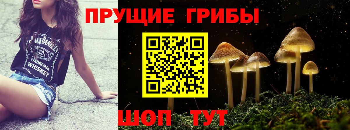 Галлюциногенные грибы Psilocybe  Вход с VPN  Псилоцибиновые грибы Cubensis  Шарыпово 